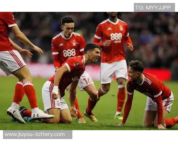 埃弗顿与热刺对决前瞻分析及比赛结果预测